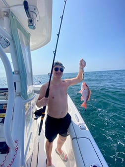 Red Snapper Fishing in Pensacola, Florida