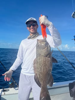 Fishing in Key West, Florida