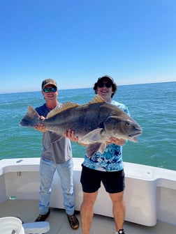 Black Drum Fishing in Hilton Head Island, South Carolina