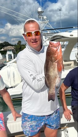 Lane Snapper, Yellowtail Snapper Fishing in Jupiter, Florida