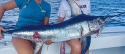 Gag Grouper Fishing in Clearwater, Florida