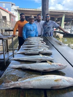 Speckled Trout / Spotted Seatrout fishing in Galveston, Texas