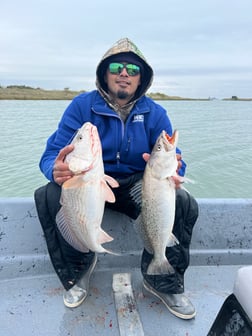 Redfish, Speckled Trout / Spotted Seatrout Fishing in Corpus Christi, Texas