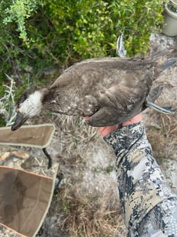 Hunting in Pensacola, Florida