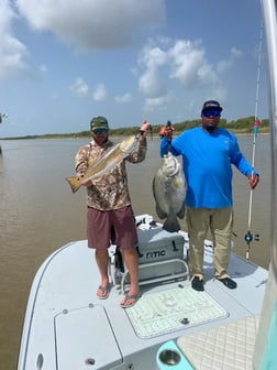 Black Drum, Flounder, Redfish fishing in Matagorda, Texas