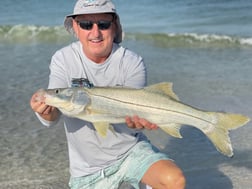 Fishing in Sarasota, Florida