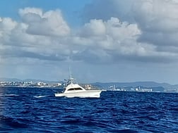 Blue Marlin fishing in San Juan, Puerto Rico