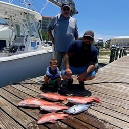 Red Snapper Fishing in Pensacola, Florida