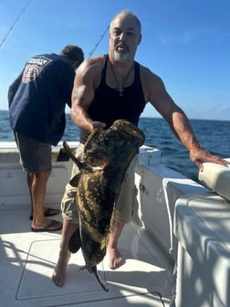 Goliath Grouper Fishing in Clearwater, Florida