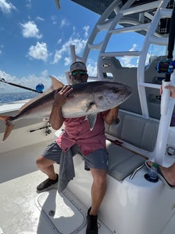 Amberjack fishing in Freeport, Texas