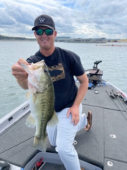 Largemouth Bass fishing in Central, Texas, USA