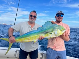 Mahi Mahi Fishing in Fort Lauderdale, Florida