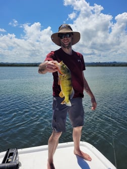 Fishing in Dorado, Puerto Rico