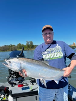 Chinook Salmon Fishing in Tacoma, Washington