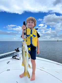 Fishing in Hudson, Florida