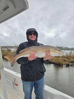 Fishing in Santa Rosa Beach, Florida