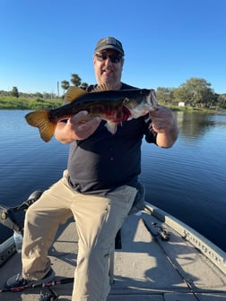 Largemouth Bass Fishing in Lake Okeechobee, Florida