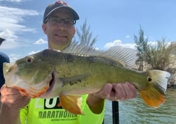 Largemouth Bass Fishing in Palmetto Bay, Florida