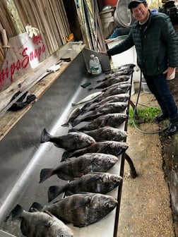 Speckled Trout / Spotted Seatrout Fishing in Biloxi, Mississippi, USA