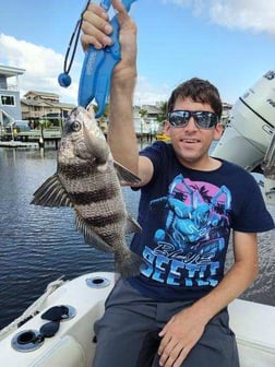 Fishing in Clearwater, Florida