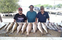 Blue Catfish, Redfish fishing in Hilton Head Island, South Carolina