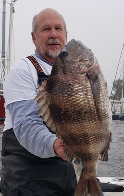 Sheepshead Fishing in Biloxi, Mississippi