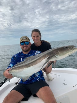 Cobia Fishing in Sarasota, Florida