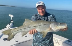 Tripletail fishing in Clearwater, Florida