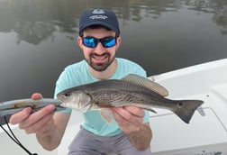 Fishing in St. Petersburg, Florida