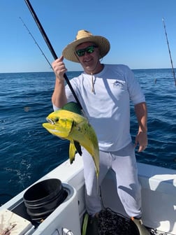 Mahi Mahi / Dorado Fishing in Ocean City, Maryland