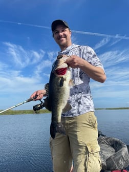 Largemouth Bass Fishing in Lake Okeechobee, Florida