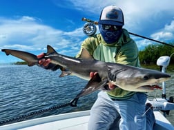 Bonefish fishing in Tavernier, Florida