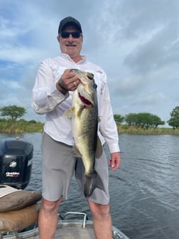 Largemouth Bass fishing in Lake Okeechobee, Florida