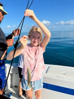 Mahi Mahi / Dorado fishing in Naples, Florida