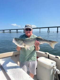 Fishing in Hampton Bays, New York