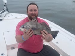 Black Drum Fishing in Jacksonville Beach, Florida