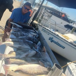 Fishing in Biloxi, Mississippi