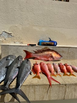 Fishing in Humacao, Puerto Rico