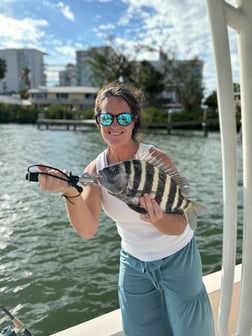 Fishing in Sarasota, Florida