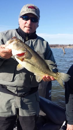 Fishing in Alba, Texas