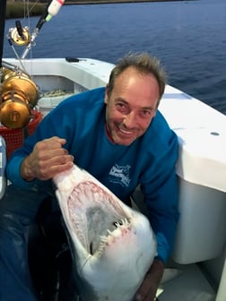 Thresher Shark Fishing in Freeport, New York, USA