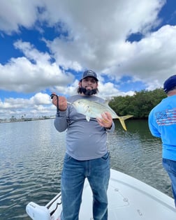 Jack Crevalle Fishing in Sarasota, Florida