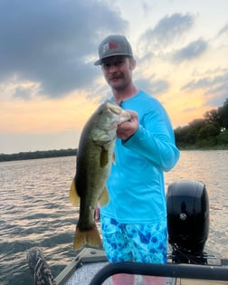 Striped Bass Fishing in Graford, Texas