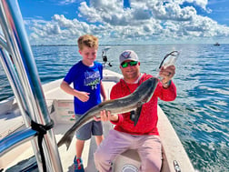 Kingfish Fishing in Sarasota, Florida