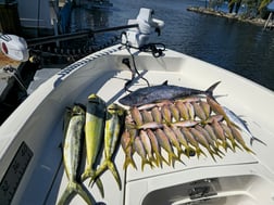 Fishing in Key Largo, Florida