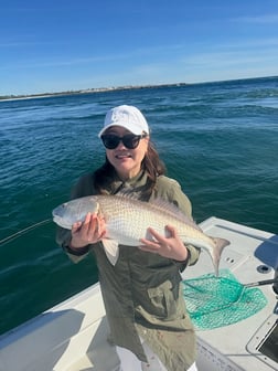 Fishing in Panama City Beach, Florida