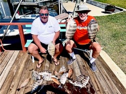 Mangrove Snapper, Sheepshead Fishing in St. Petersburg, Florida