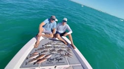 Mangrove Snapper, Scup / Porgy, Sheepshead Fishing in Sarasota, Florida