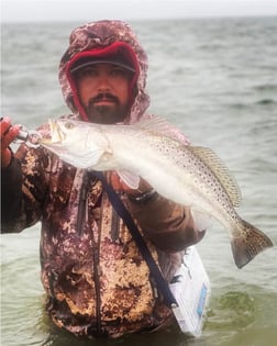 Speckled Trout / Spotted Seatrout Fishing in Port O'Connor, Texas