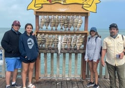 Flounder, Redfish, Sheepshead, Speckled Trout Fishing in South Padre Island, Texas